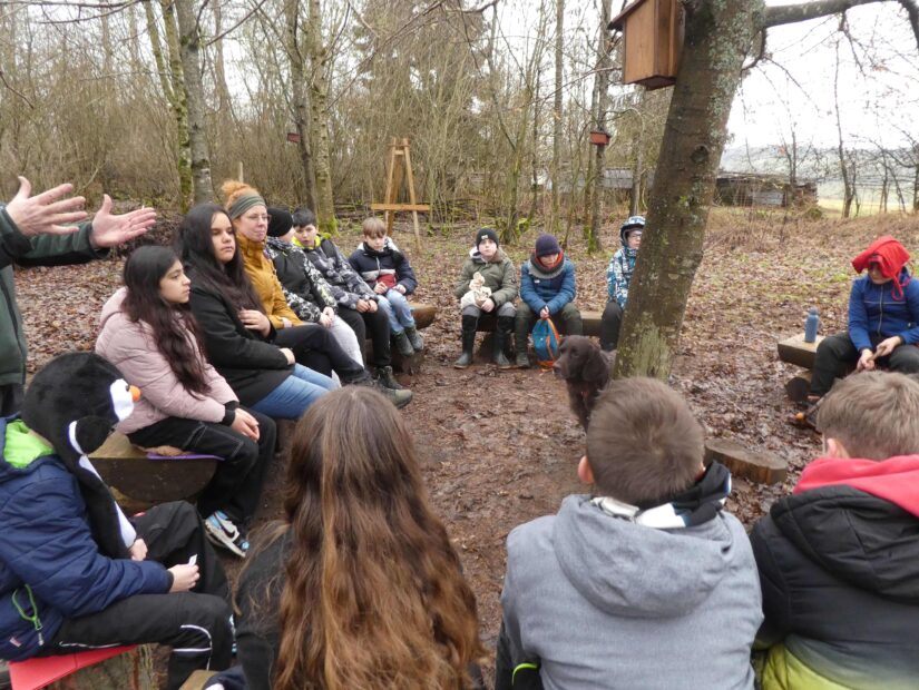 Waldpflege und Ökologie im Schulwald – Klasse 5b